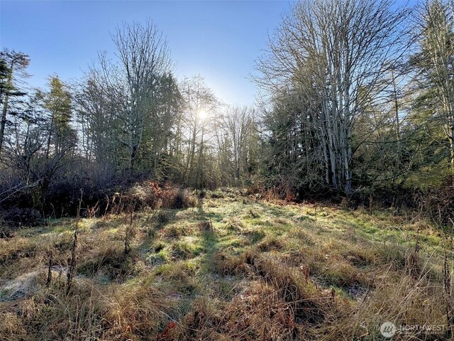 9999 E Greentree Ln, Port Angeles, WA 98362 - photo 35
