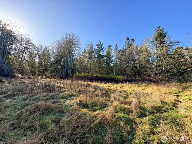 9999 E Greentree Ln, Port Angeles, WA 98362 - photo 36