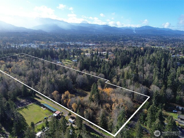 9999 E Greentree Ln, Port Angeles, WA 98362 - photo 37