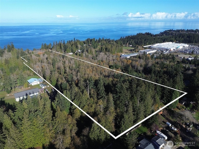 9999 E Greentree Ln, Port Angeles, WA 98362 - photo 38