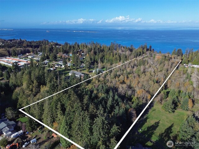 9999 E Greentree Ln, Port Angeles, WA 98362 - photo 39