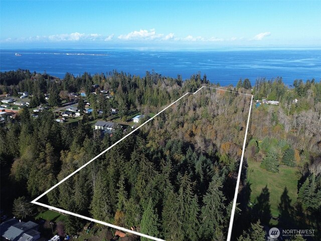 9999 E Greentree Ln, Port Angeles, WA 98362 - photo 40