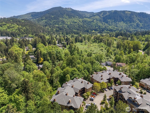 1000 Cabin Creek Ln SW Unit C204, Issaquah, WA 98027 - aerial perspective of suburban area with a forest and mountains