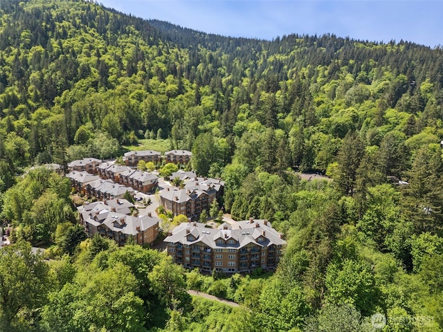 1000 Cabin Creek Ln SW Unit C204, Issaquah, WA 98027 - aerial view of property and surrounding area with a forest