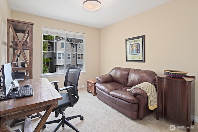 home office featuring carpet and baseboards