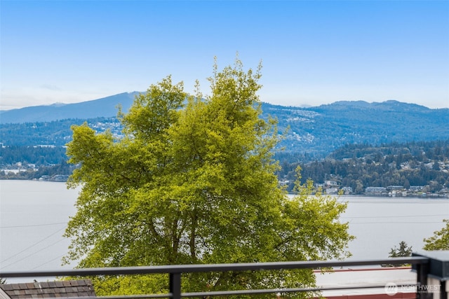 1106B 34th Ave, Seattle, WA 98122 - mountain view featuring a nearby body of water