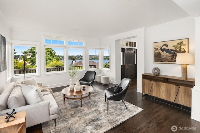 7934 Lake View Ln, Mercer Island, WA 98040 - living area featuring dark wood-type flooring, plenty of natural light, and baseboards