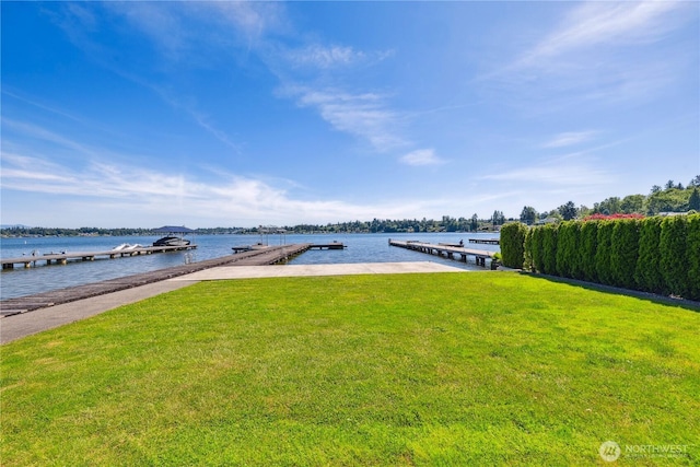 9928 Vernon Rd, Lake Stevens, WA 98258 - photo 37
