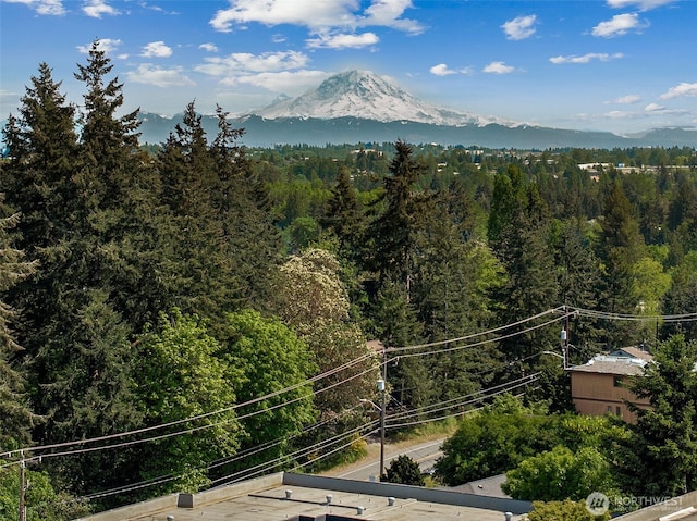 430 SW 156th St Unit 204, Burien, WA 98166 - mountain view featuring a forest