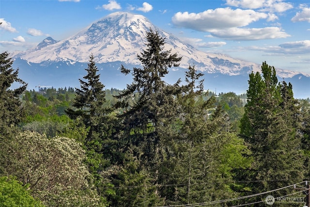 430 SW 156th St Unit 204, Burien, WA 98166 - view of mountain backdrop featuring a forest
