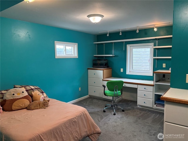 54 Jaquish Rd, Omak, WA 98841 - bedroom featuring dark carpet, rail lighting, and baseboards