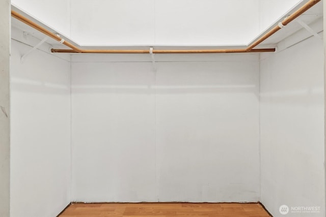 spacious closet featuring wood finished floors