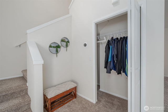 27815 NE 148th Ln, Duvall, WA 98019 - view of closet