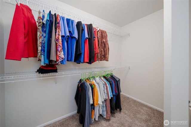 27815 NE 148th Ln, Duvall, WA 98019 - walk in closet with carpet