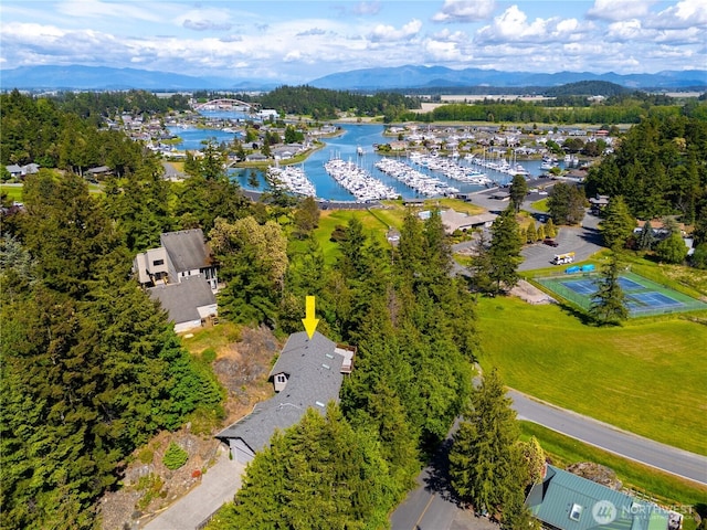 bird's eye view of a water and mountain view and numerous boat docks