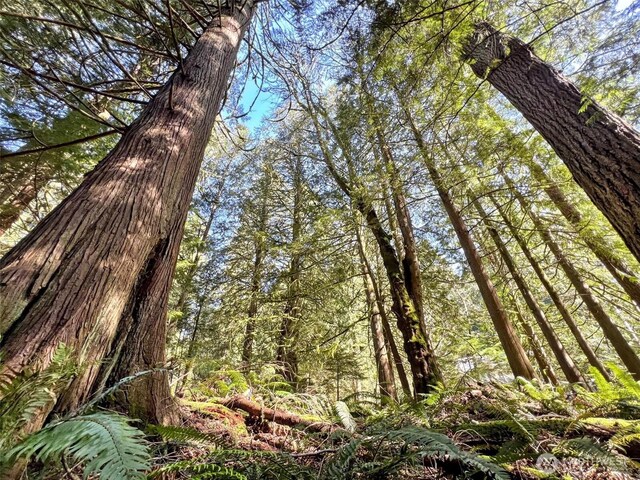 30 Little Strawberry Ln, Bellingham, WA 98229