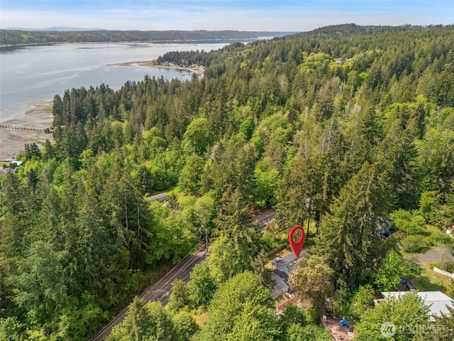 140 NE Rainier Pl S, Belfair, WA 98528 - photo 6