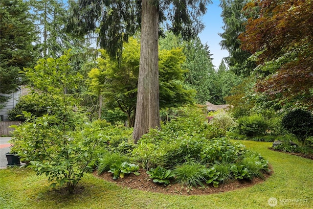 21842 NE 30th Pl, Sammamish, WA 98074 - view of green lawn