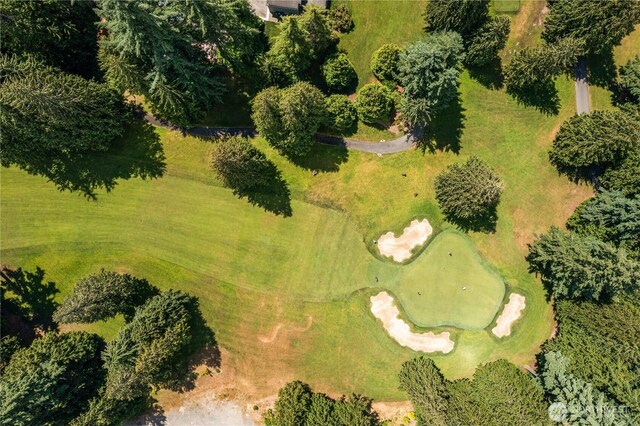 21842 NE 30th Pl, Sammamish, WA 98074 - aerial view