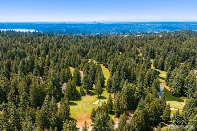21842 NE 30th Pl, Sammamish, WA 98074 - aerial view of a forest and a golf club