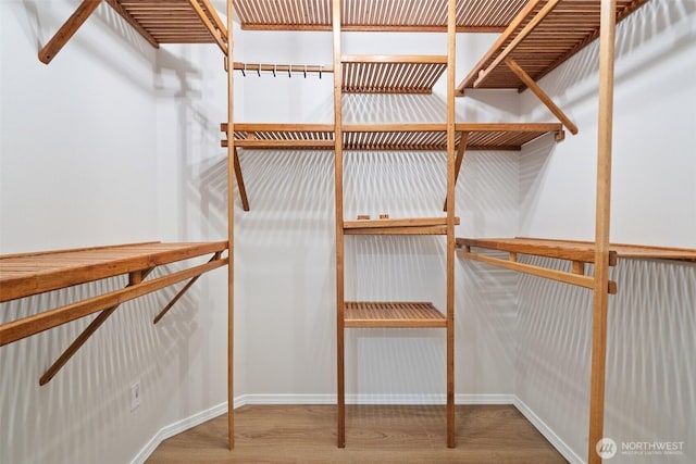 13212 Wicks End Ln SW, Port Orchard, WA 98367 - view of spacious closet
