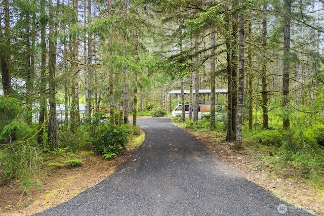 13212 Wicks End Ln SW, Port Orchard, WA 98367 - view of asphalt driveway with a view of trees