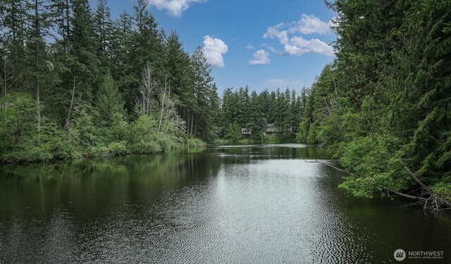 22717 Briarwood Ct SE, Yelm, WA 98597 - water view featuring a forest