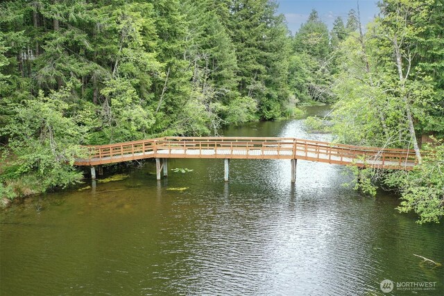 22717 Briarwood Ct SE, Yelm, WA 98597 - dock area with a water view