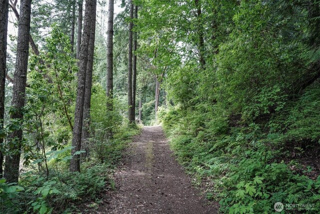 22717 Briarwood Ct SE, Yelm, WA 98597 - view of road featuring a view of trees