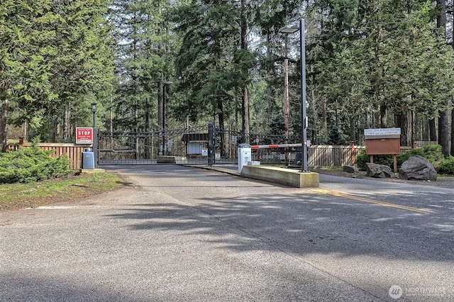22717 Briarwood Ct SE, Yelm, WA 98597 - view of asphalt road featuring street lighting and a gate