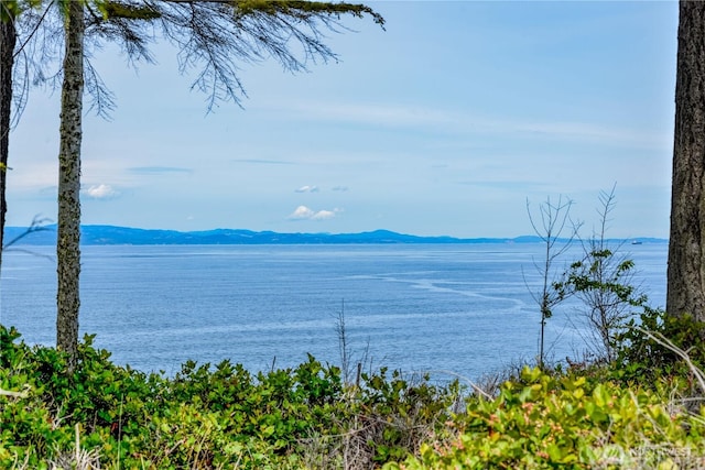 1020 Walker St, Port Angeles, WA 98363 - photo 1