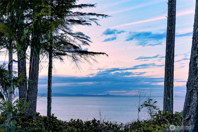1020 Walker St, Port Angeles, WA 98363 - photo 2
