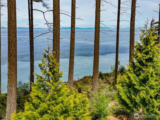 1020 Walker St, Port Angeles, WA 98363 - photo 5
