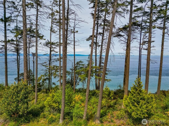 1020 Walker St, Port Angeles, WA 98363 - photo 6