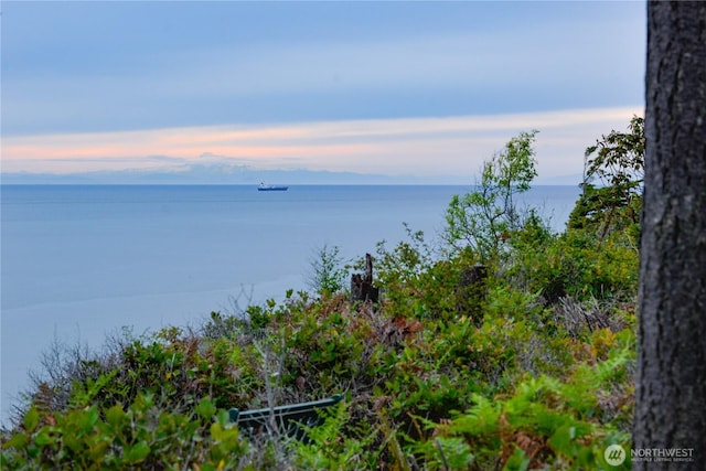 1020 Walker St, Port Angeles, WA 98363 - photo 7