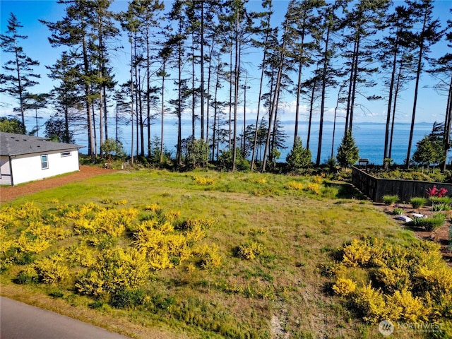 1020 Walker St, Port Angeles, WA 98363 - photo 9