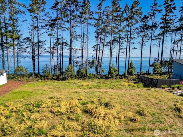 1020 Walker St, Port Angeles, WA 98363 - photo 10