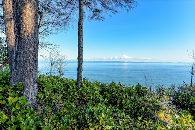 1020 Walker St, Port Angeles, WA 98363 - photo 13
