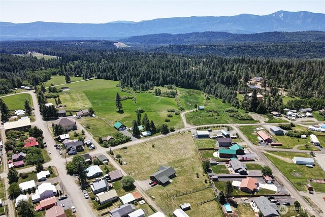 531 3rd St, Ronald, WA 98940 - view of property location with a heavily wooded area and a mountain backdrop