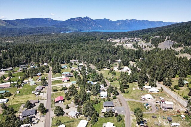 531 3rd St, Ronald, WA 98940 - aerial view of a heavily wooded area and a mountainous background