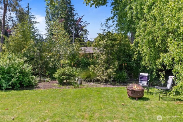 10051 45th Ave NE, Seattle, WA 98125 - view of grassy yard with a fire pit