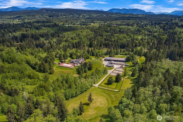 30404 44th Ave NW, Stanwood, WA 98292 - view of property location featuring a heavily wooded area and mountains