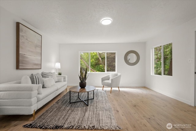 1405 33rd St, Seaview, WA 98644 - living room with wood finished floors, baseboards, and a textured ceiling