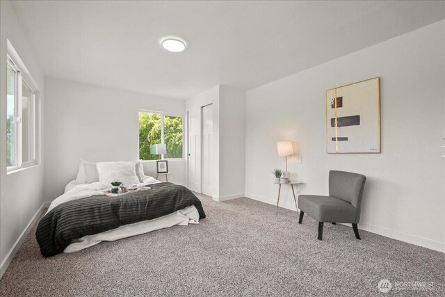 1405 33rd St, Seaview, WA 98644 - bedroom featuring carpet, baseboards, and a closet