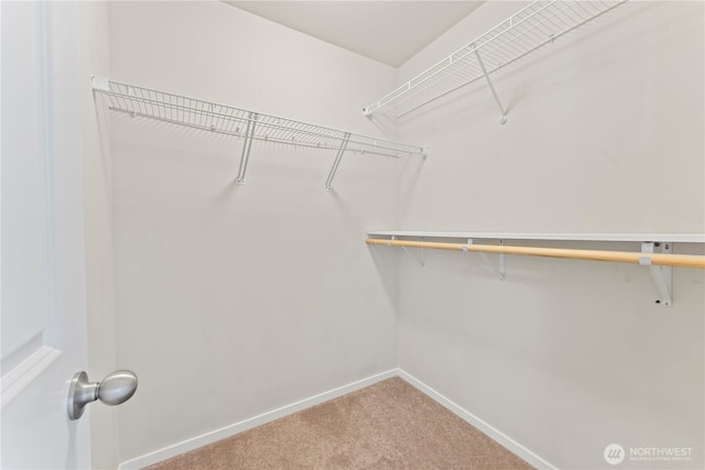 16404 1st Dr SE, Bothell, WA 98012 - spacious closet featuring carpet floors