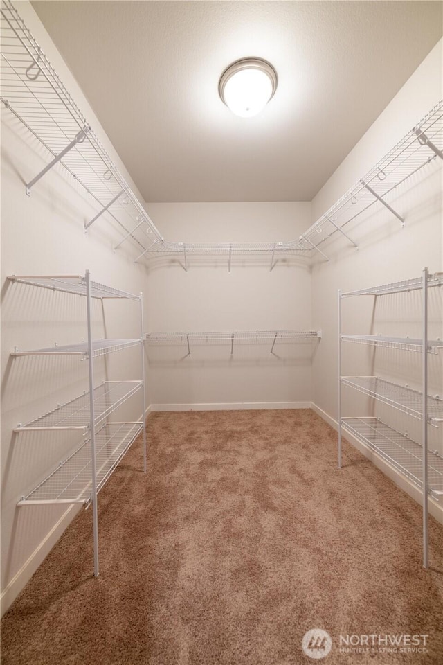8570 Trillium Ln, Concrete, WA 98237 - walk in closet featuring carpet