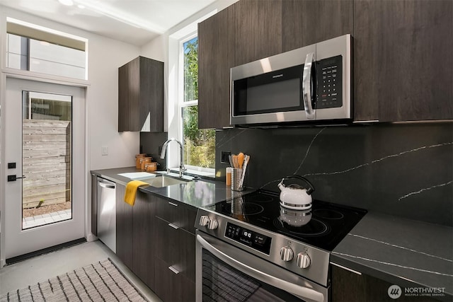 6732 Alonzo Ave NW Unit B, Seattle, WA 98117 - photo 6