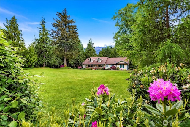 8368 Birdsview Meadows Ln, Concrete, WA 98237 - view of grassy yard featuring view of scattered trees