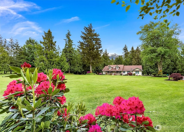 8368 Birdsview Meadows Ln, Concrete, WA 98237 - view of green lawn