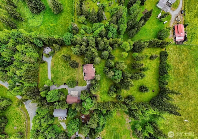8368 Birdsview Meadows Ln, Concrete, WA 98237 - drone / aerial view